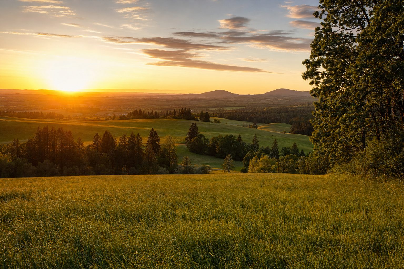 Golden acreage